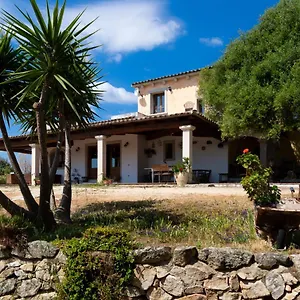 Antica Caresi , Olbia Italia